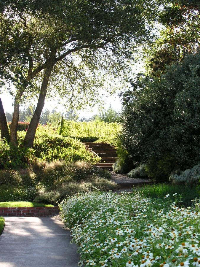 Hotel Madrona Manor Healdsburg Esterno foto