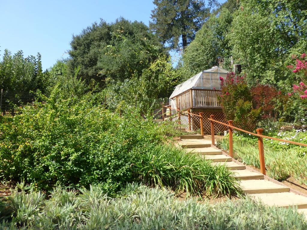 Hotel Madrona Manor Healdsburg Esterno foto